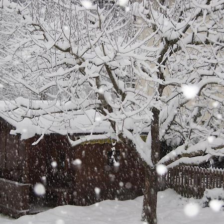 Haus Josef Bed and Breakfast Mayrhofen Εξωτερικό φωτογραφία