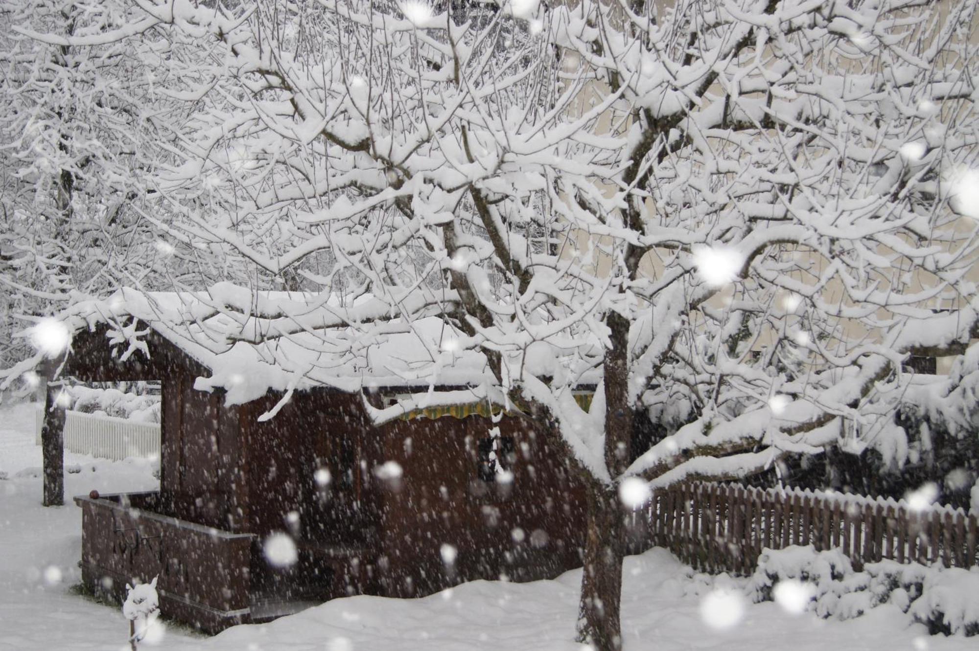 Haus Josef Bed and Breakfast Mayrhofen Εξωτερικό φωτογραφία