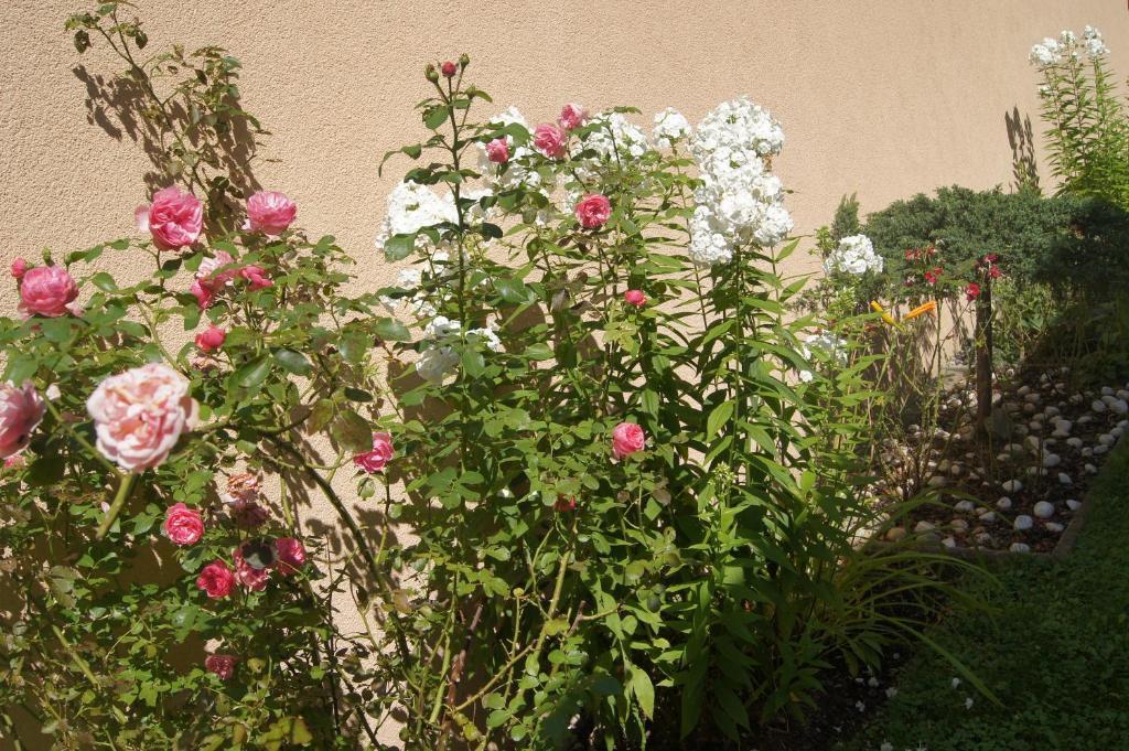 Haus Josef Bed and Breakfast Mayrhofen Εξωτερικό φωτογραφία