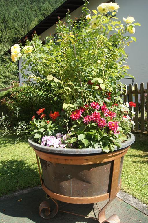 Haus Josef Bed and Breakfast Mayrhofen Εξωτερικό φωτογραφία